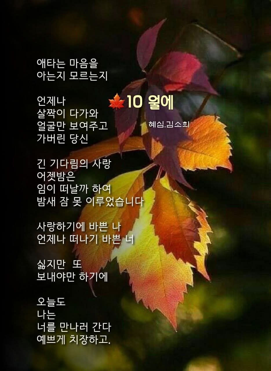 FB_IMG_1760915125762.jpg
