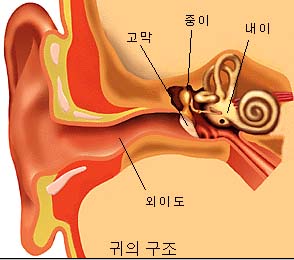 12ear-3.jpg