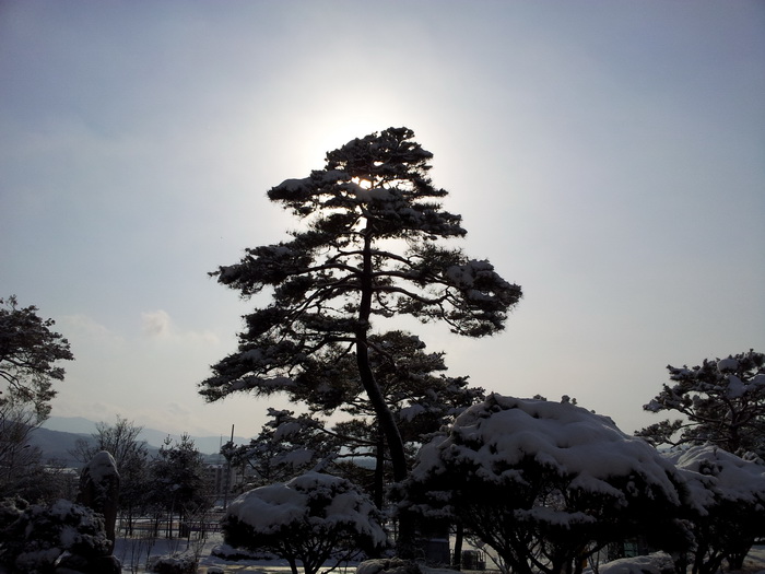 20121208_102101.jpg